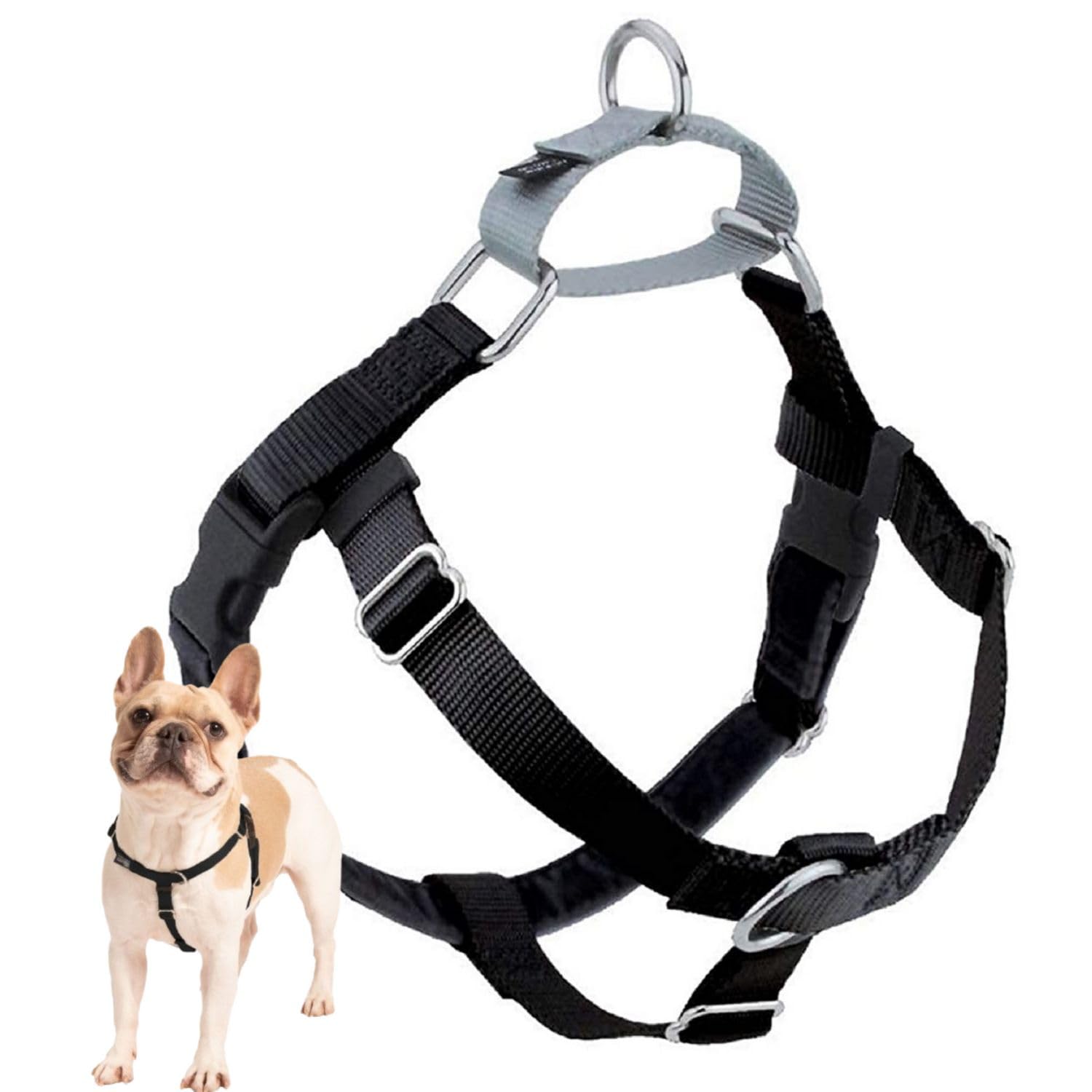 2 Hounds Design Freedom No Pull Harness front clip for easier, controlled walks.