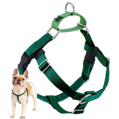 2 Hounds Design Freedom no-pull harness front clip for controlled, confident walks.
