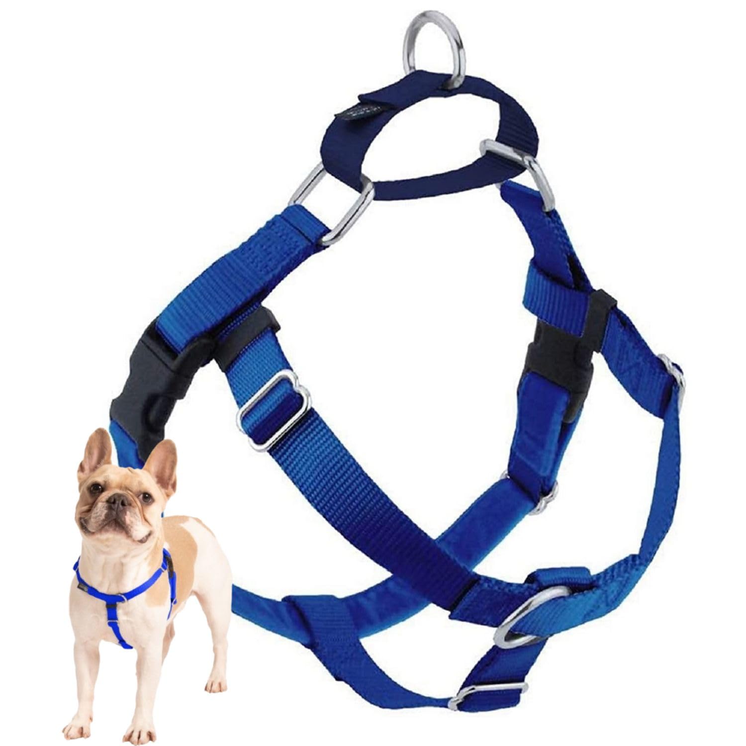 2 Hounds Design Freedom no-pull harness front O-ring for steady leash control.