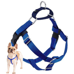 2 Hounds Design Freedom no-pull harness front O-ring for steady leash control.