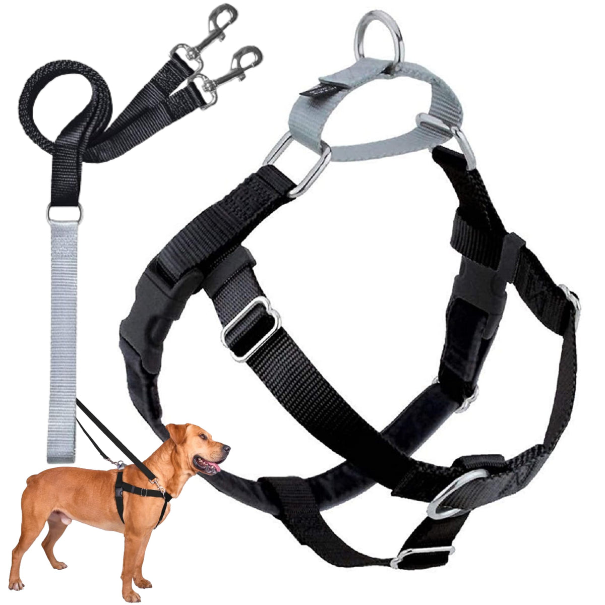 2 Hounds Design Freedom No-Pull harness front view with front O-ring for control