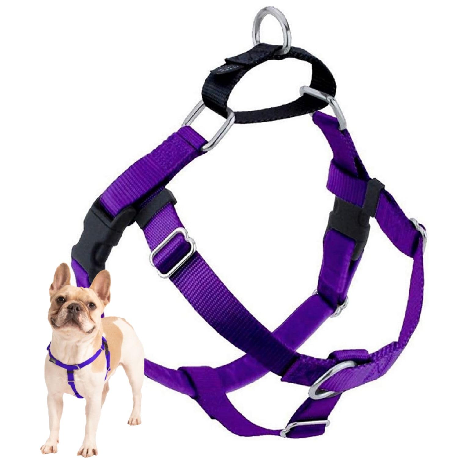 2 Hounds Design Freedom no pull harness purple front clip enhances control during walks