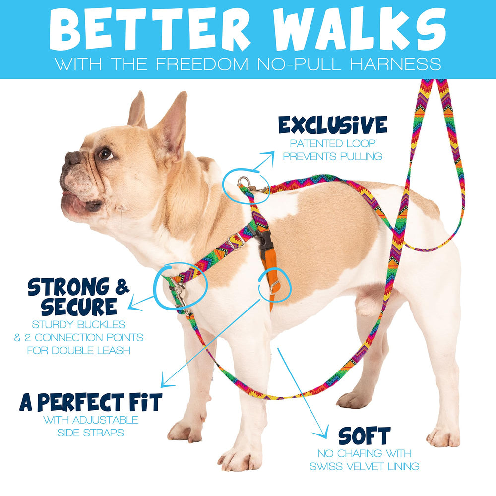 2 Hounds Design Freedom harness raspberry back view shows secure fit.