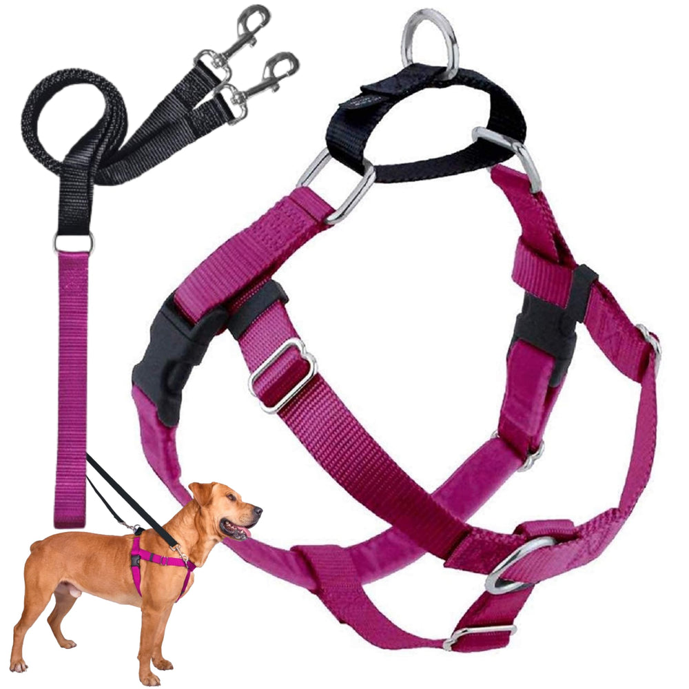2 Hounds Design Freedom No-Pull Harness raspberry front view for comfortable walks.