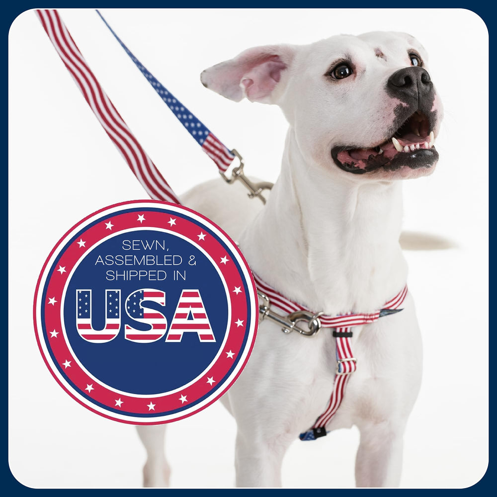 2 Hounds Design Freedom size chart preview helps find the perfect fit