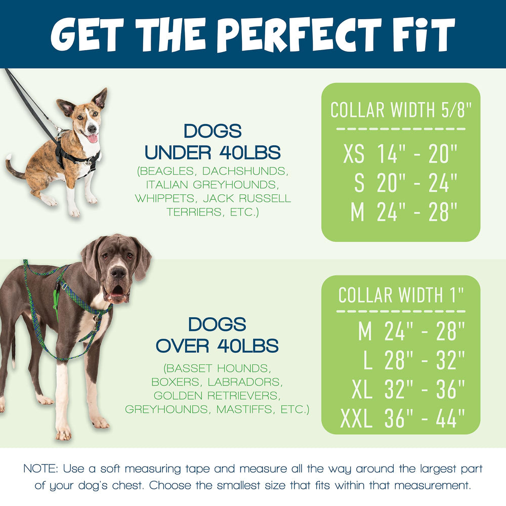 2 Hounds Design raspberry sizing guide scene shows proper fit.