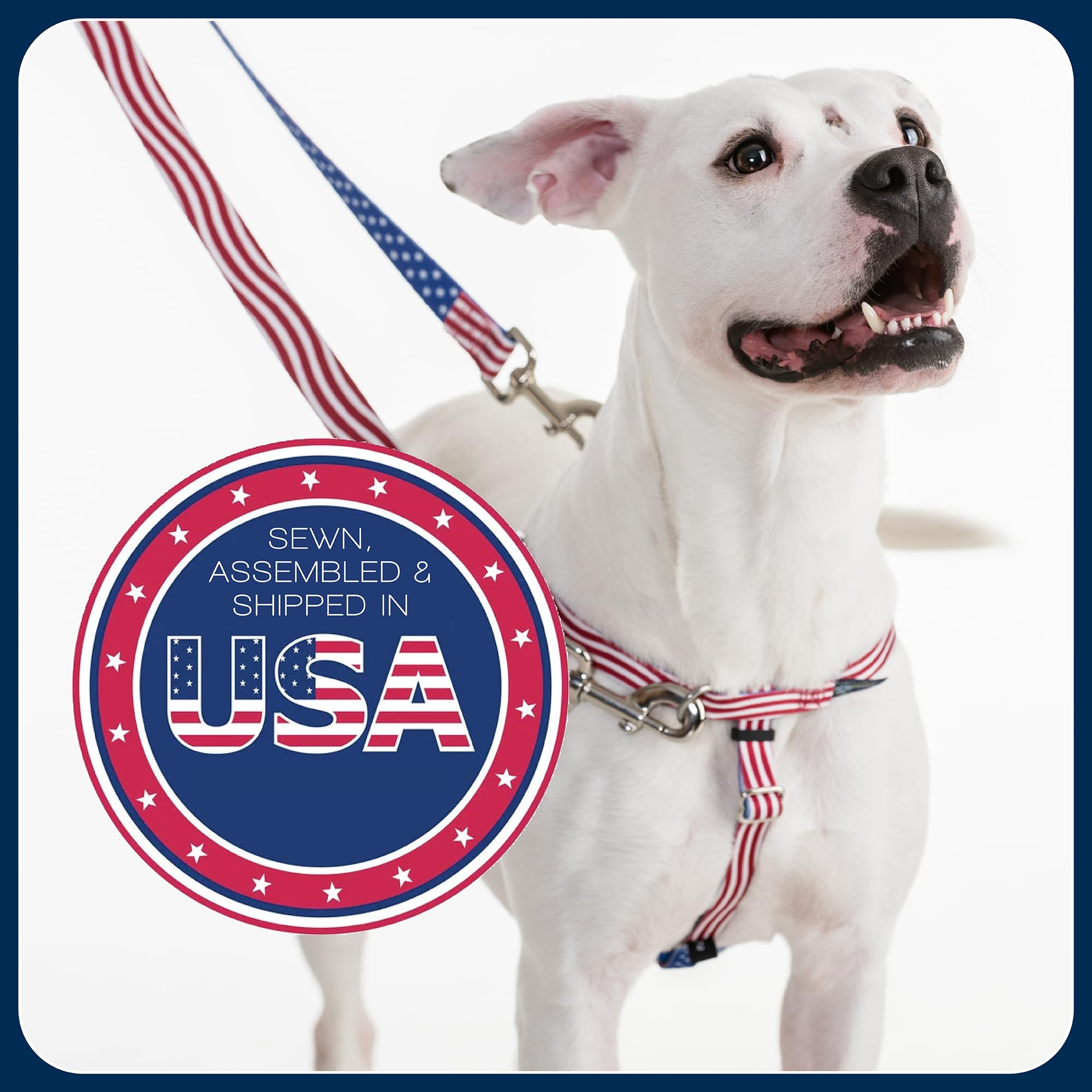2 Hounds Design USA-made harness raspberry close-up emphasizes quality.