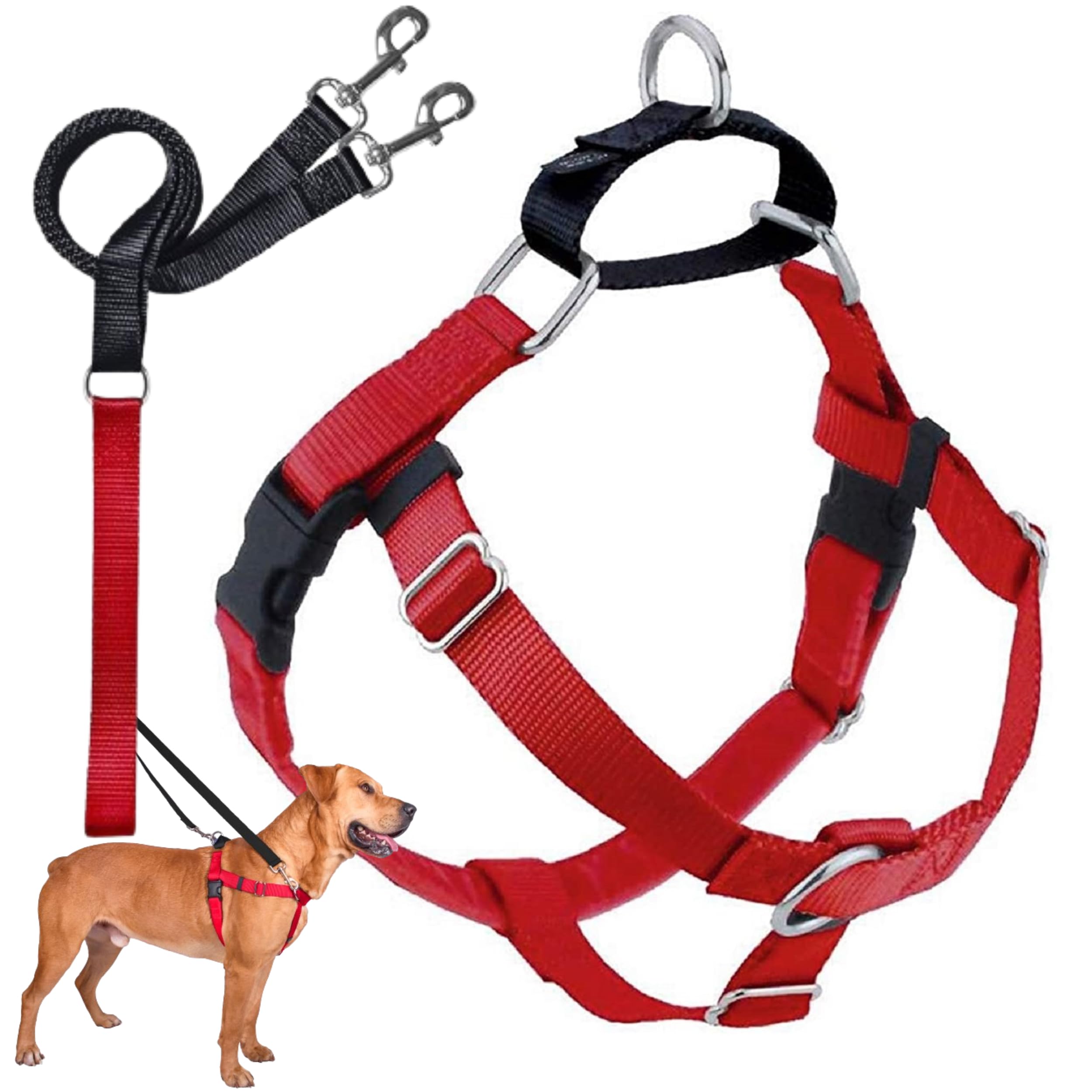 2 Hounds Design Freedom no pull harness front view for comfortable control during walks.