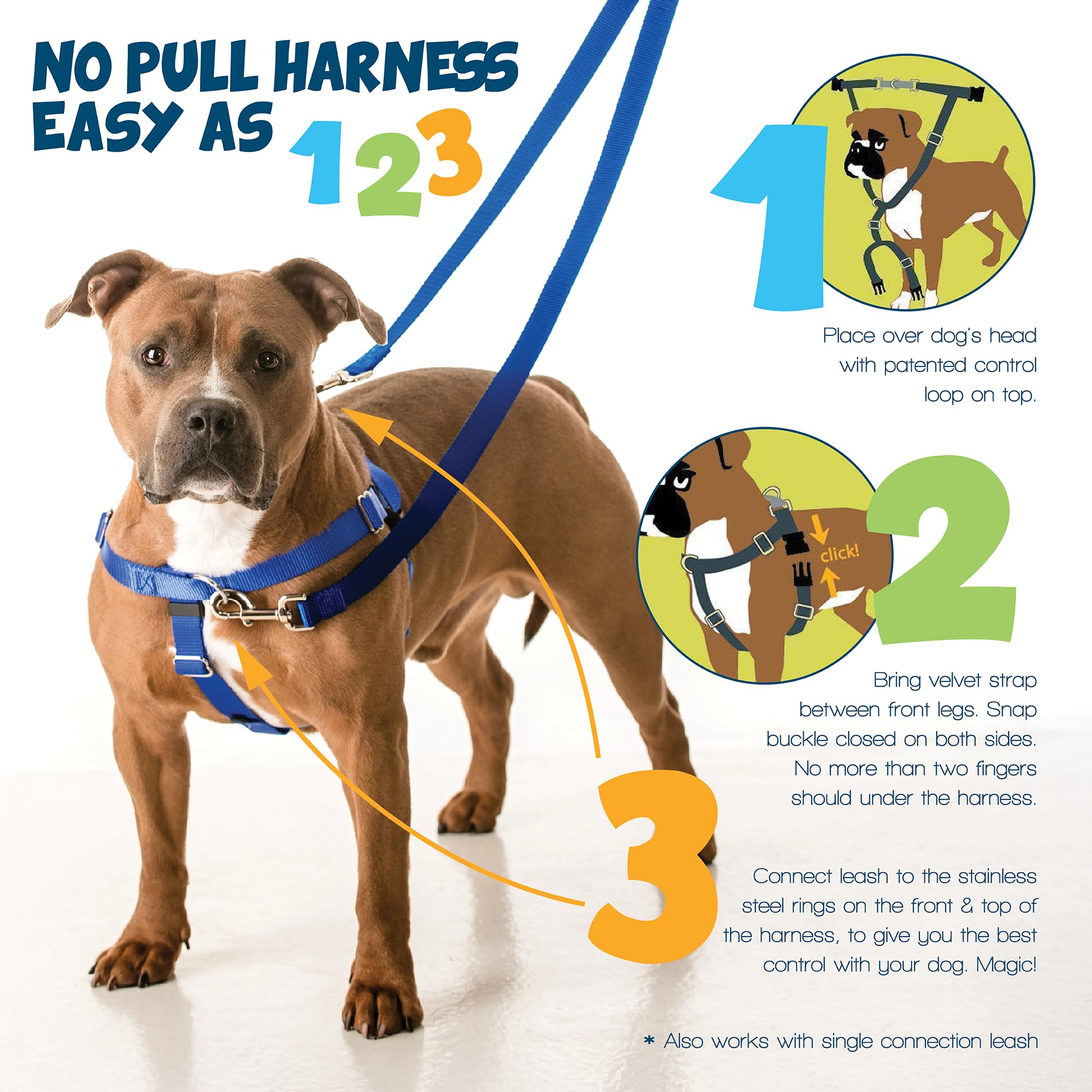 2 Hounds Design Freedom no-pull harness purple front O-ring close-up for controlled guiding.