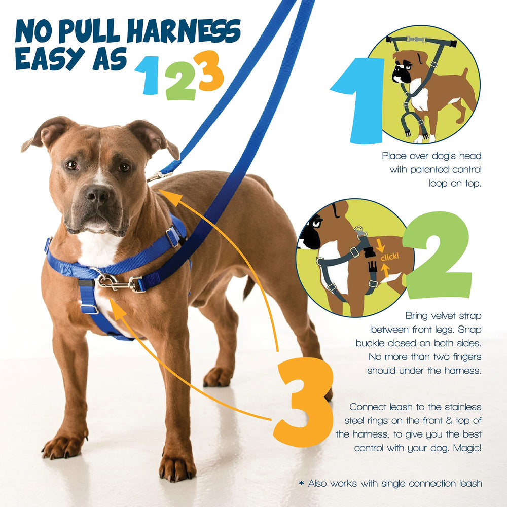 2 Hounds Design Freedom No Pull Harness teal chest attachment for steady guiding