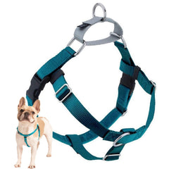 2 Hounds Design Freedom No Pull Harness teal front clip enhances control during walks
