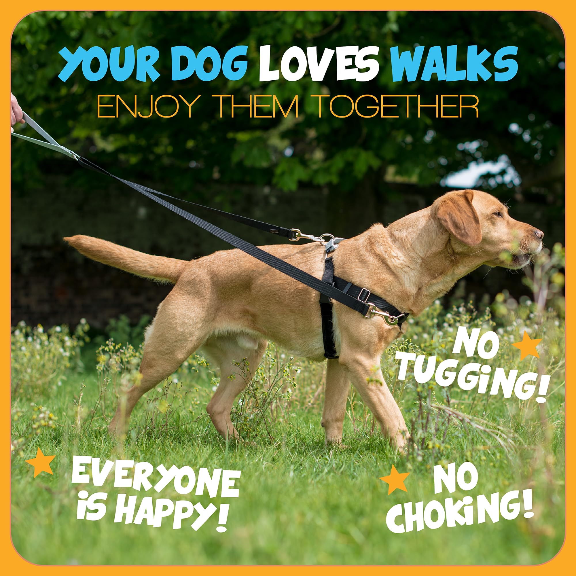 2 Hounds Design Freedom stainless steel hardware close-up resists rust for long-lasting use.