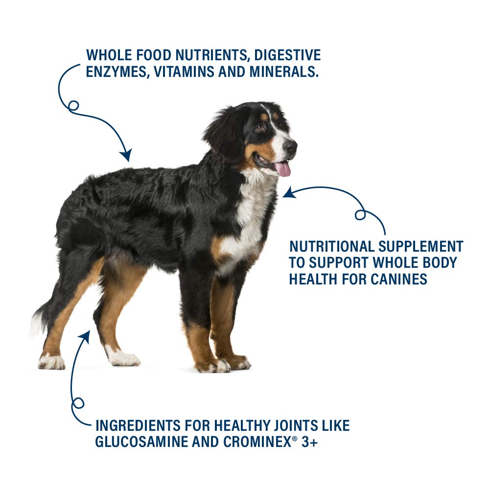 Beef flavor 360 Pet Nutrition Canine Superfood Blend coat shine and vitality