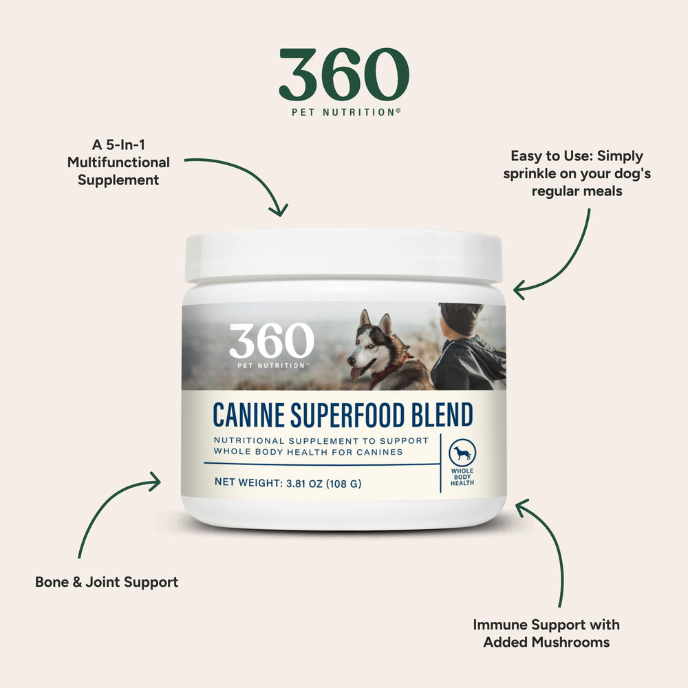 Close-up of 360 Pet Nutrition Canine Superfood Blend powder texture for digestion support