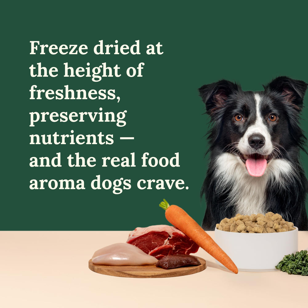 360 Pet Nutrition freeze-dried convenience with no refrigeration required.