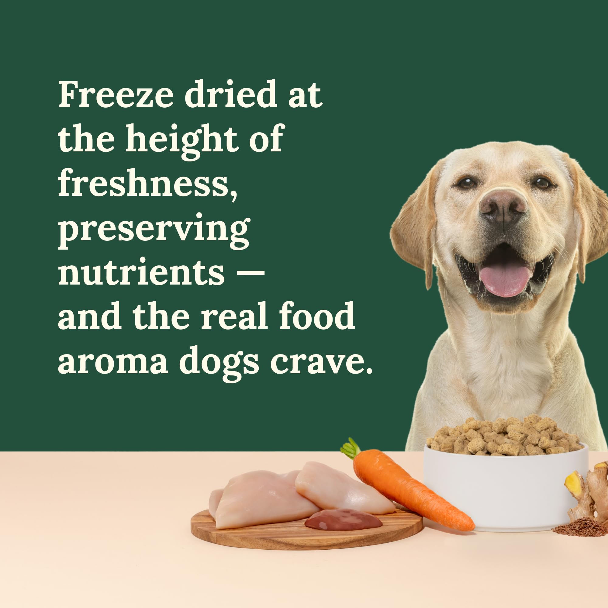 360 Pet Nutrition freeze-dried raw dog food 3lb pack – easy storage and serving.