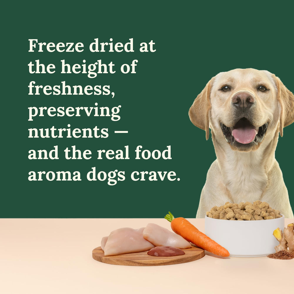 360 Pet Nutrition freeze-dried raw dog food 3lb pack – easy storage and serving.