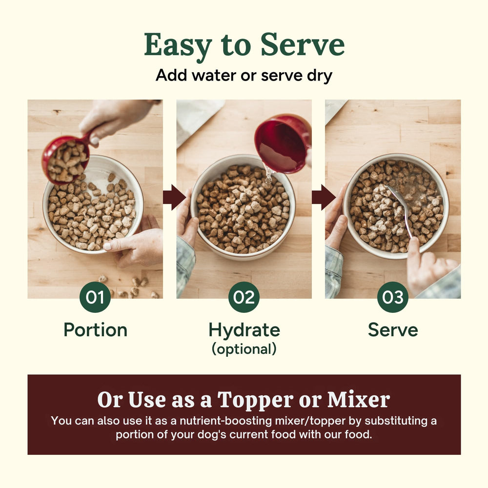 360 Pet Nutrition freeze-dried raw dog food no-fillers – pure ingredients, no cereals.