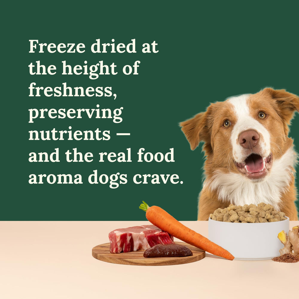 360 Pet Nutrition fruits and vegetables image—natural antioxidants and fiber.