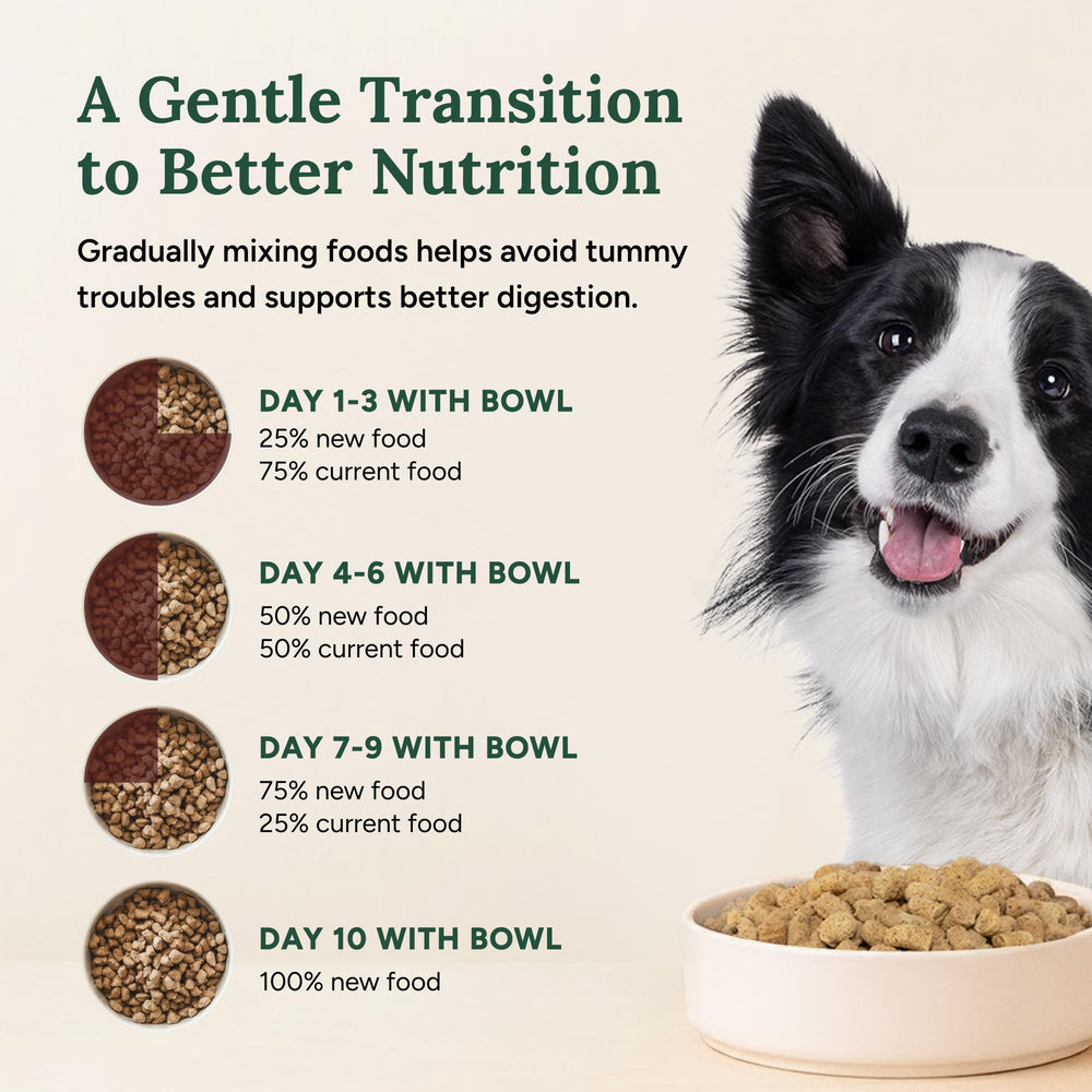 Omega-3 rich ingredients support healthy skin and coat.