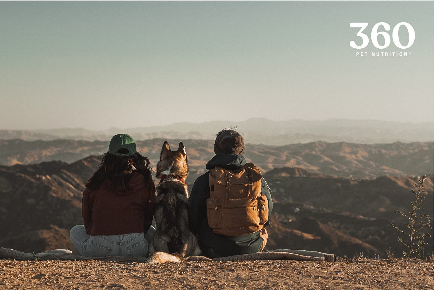 360 Pet Nutrition portion-control bites suitable for measured rewards.