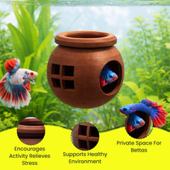3DAquaticSolutions betta hiding nook displayed for rest and privacy.