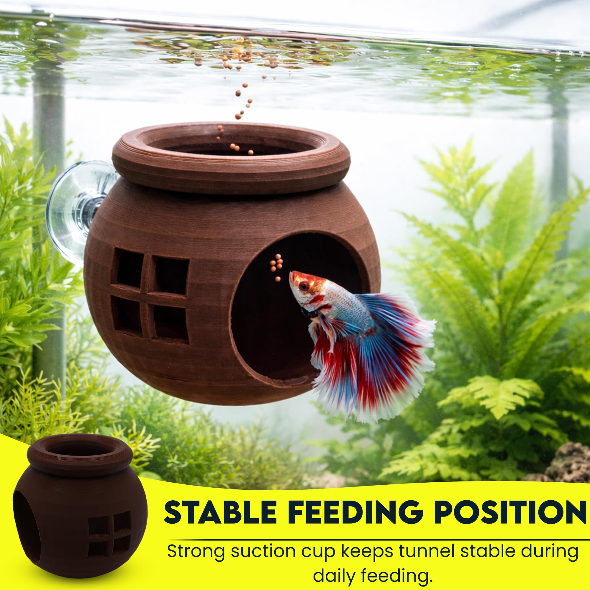 3DAquaticSolutions floating cozy betta house tunnel entry view encourages exploration.