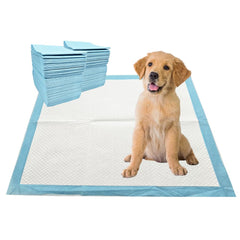 3Q Puppy Pee Pads with 22x22 inch size for efficient training.