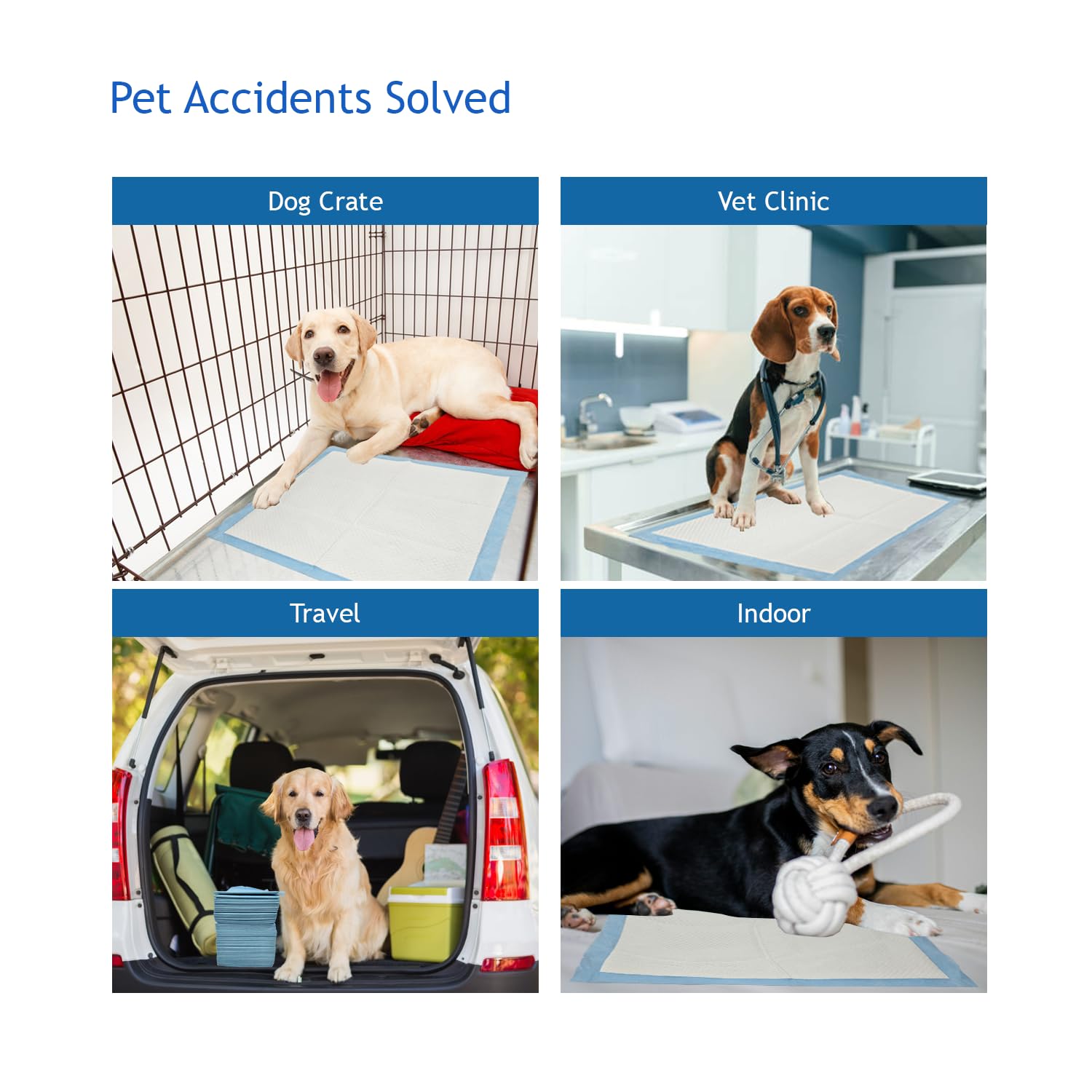 3Q Puppy Pads – disposable underpad option for daily or travel use.