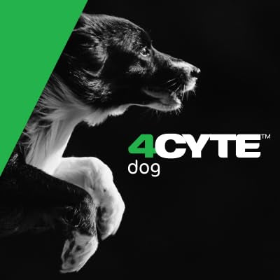 Active dog during play, suggesting improved mobility with 4CYTE Epiitalis Forte