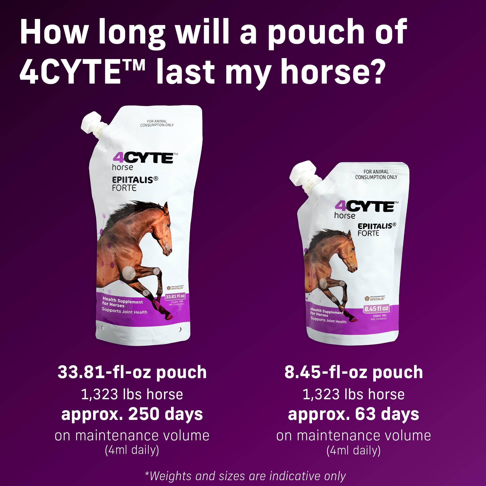Horse in motion with 4CYTE Epiitalis Forte demonstrating potential mobility