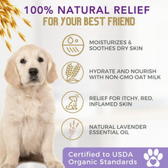 4Legger oatmeal dog shampoo foam highlights rich lather for thorough coat cleansing.