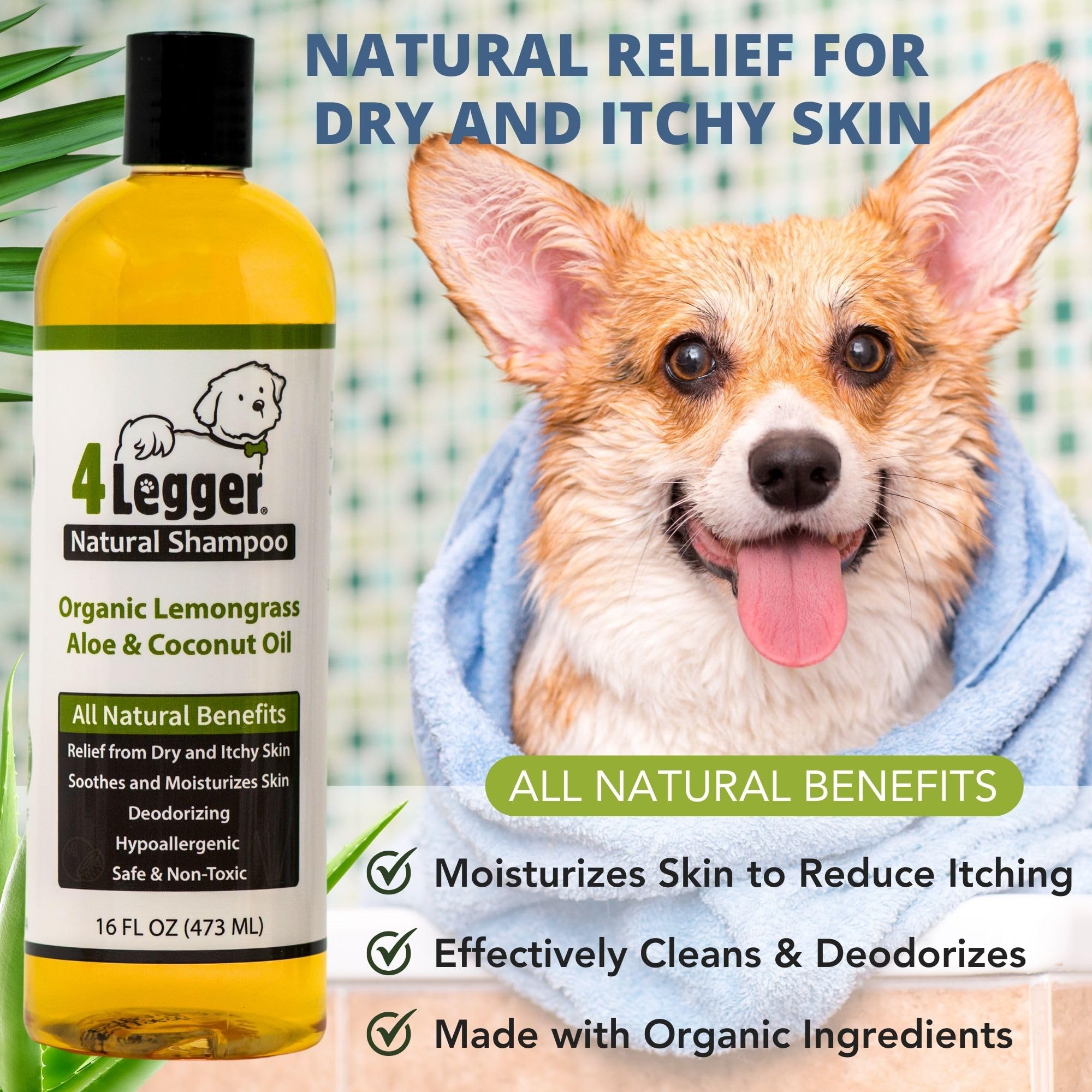 4Legger biodegradable packaging signals eco-conscious choice for pet care.
