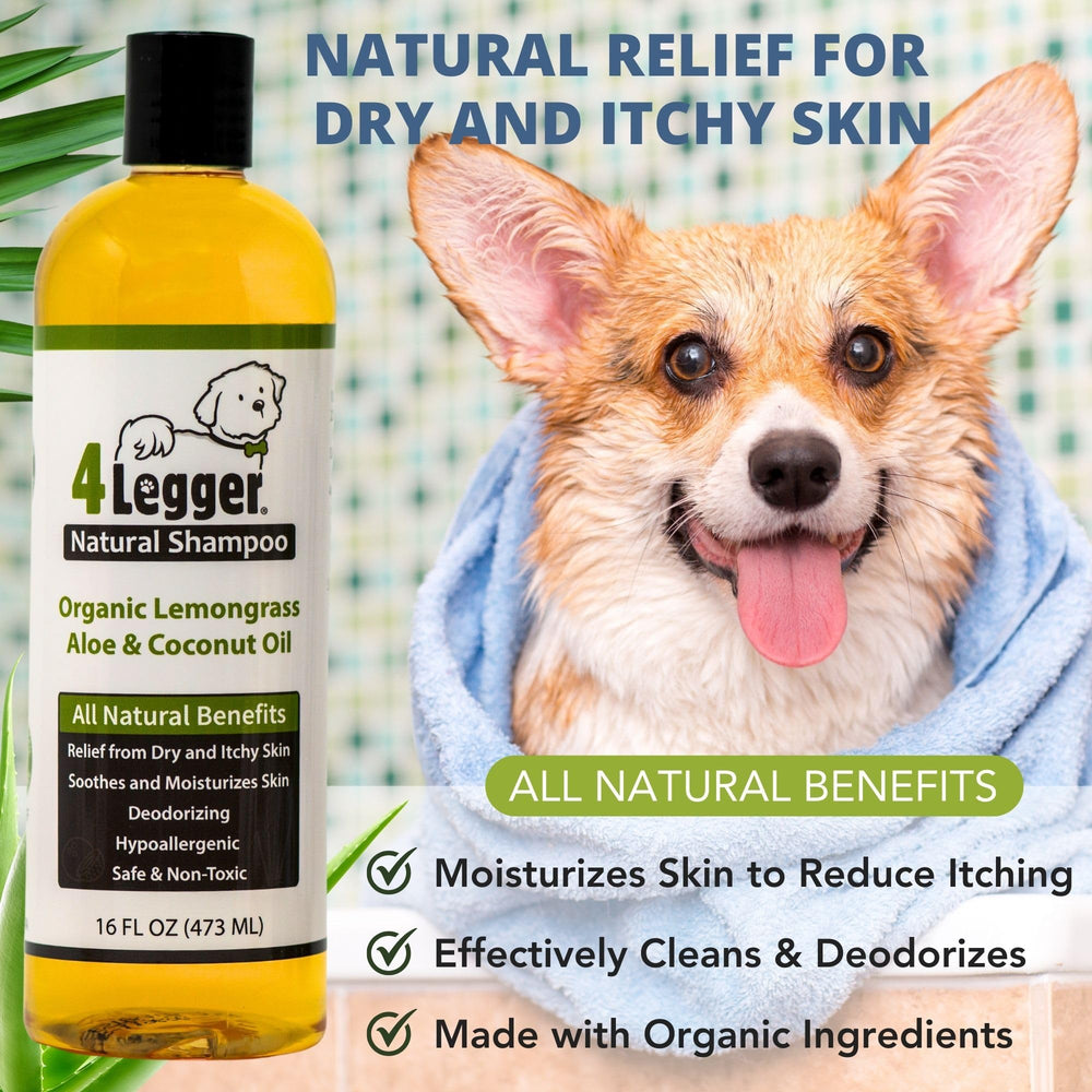 4Legger biodegradable packaging signals eco-conscious choice for pet care.