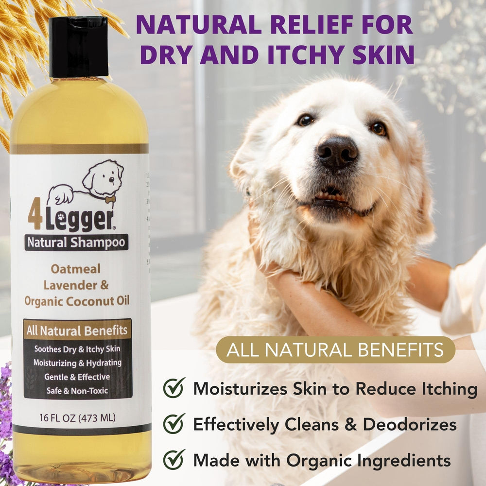4Legger eco-conscious packaging signals sustainable, USA-made grooming.