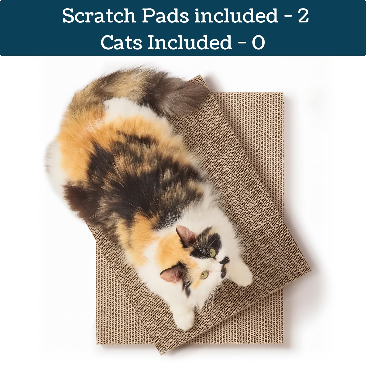5609PETS double-sided scratch pad ready for extended scratching sessions.