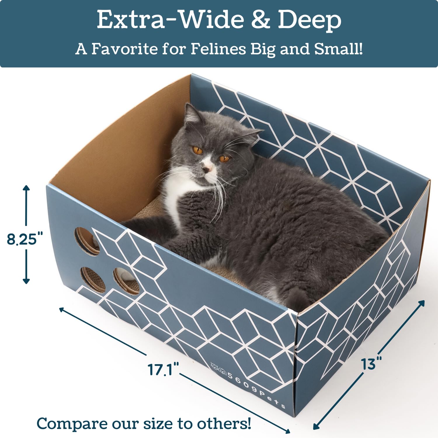 5609PETS Easy tool-free assembly ships flat and unfolds in minutes