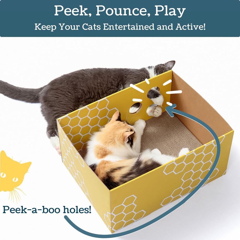 5609PETS high-sided box traps shavings for cleaner floors.