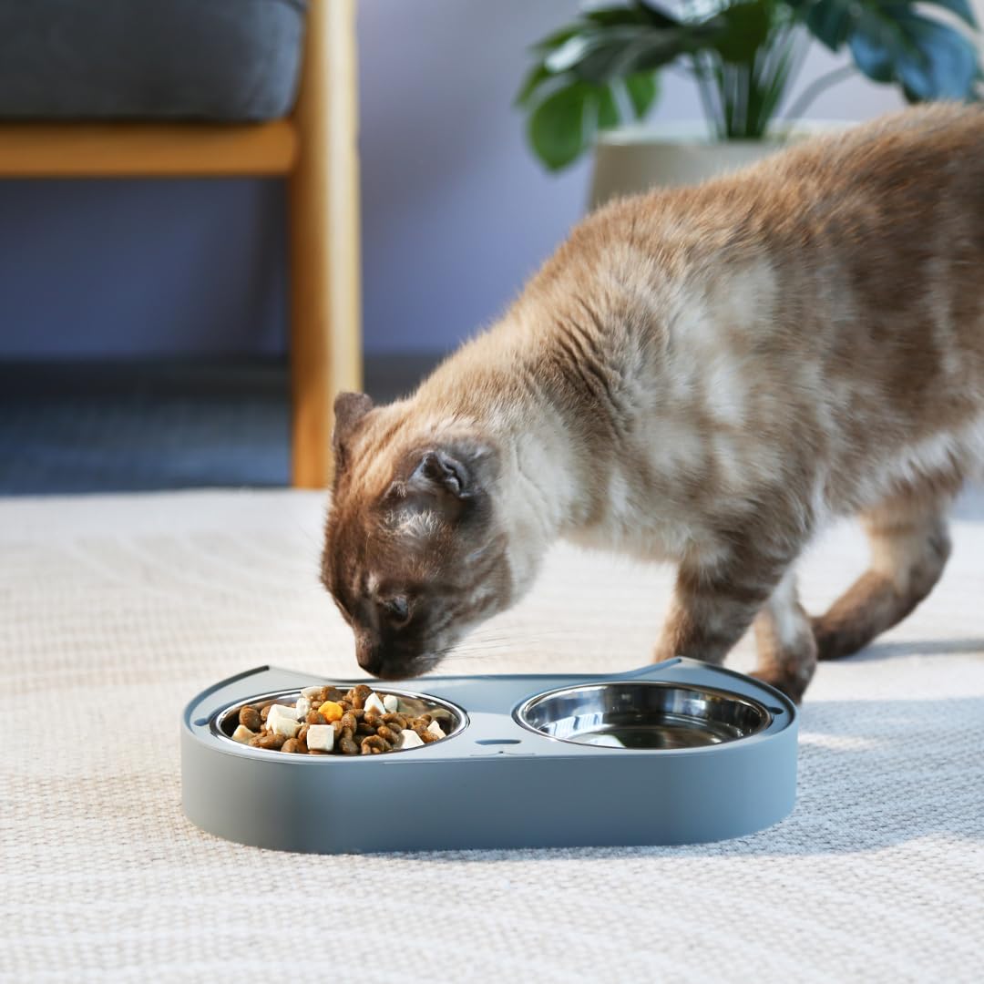 7 Ruby Road bowls suit wet or dry food; versatile feeding options.