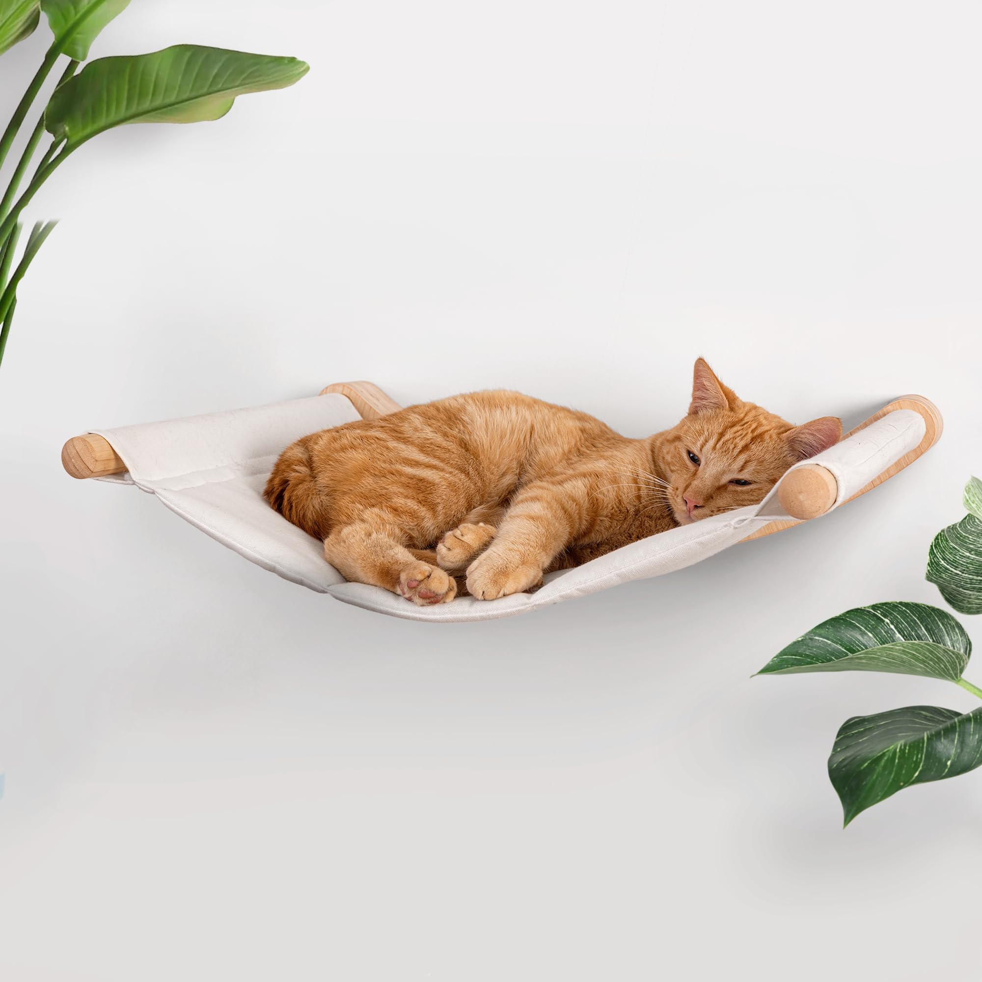 7 Ruby Road cat hammock wall-mounted for large indoor cats, showcasing spacious perch