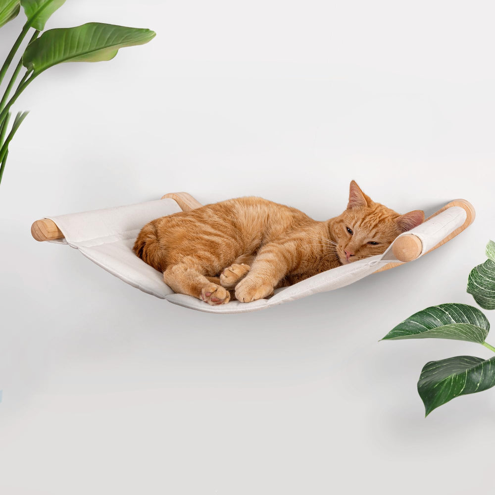 7 Ruby Road cat hammock wall-mounted for large indoor cats, showcasing spacious perch