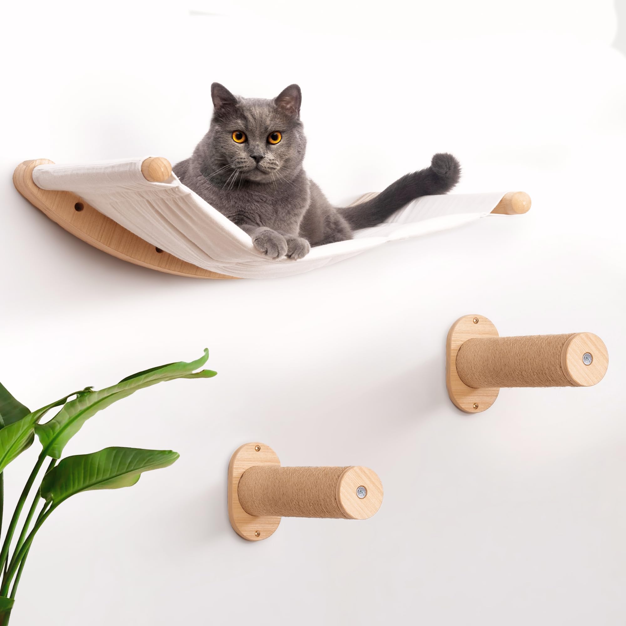 7 Ruby Road Cat Wall Shelves Hammock Set: cat perched on elevated shelves for space saving.