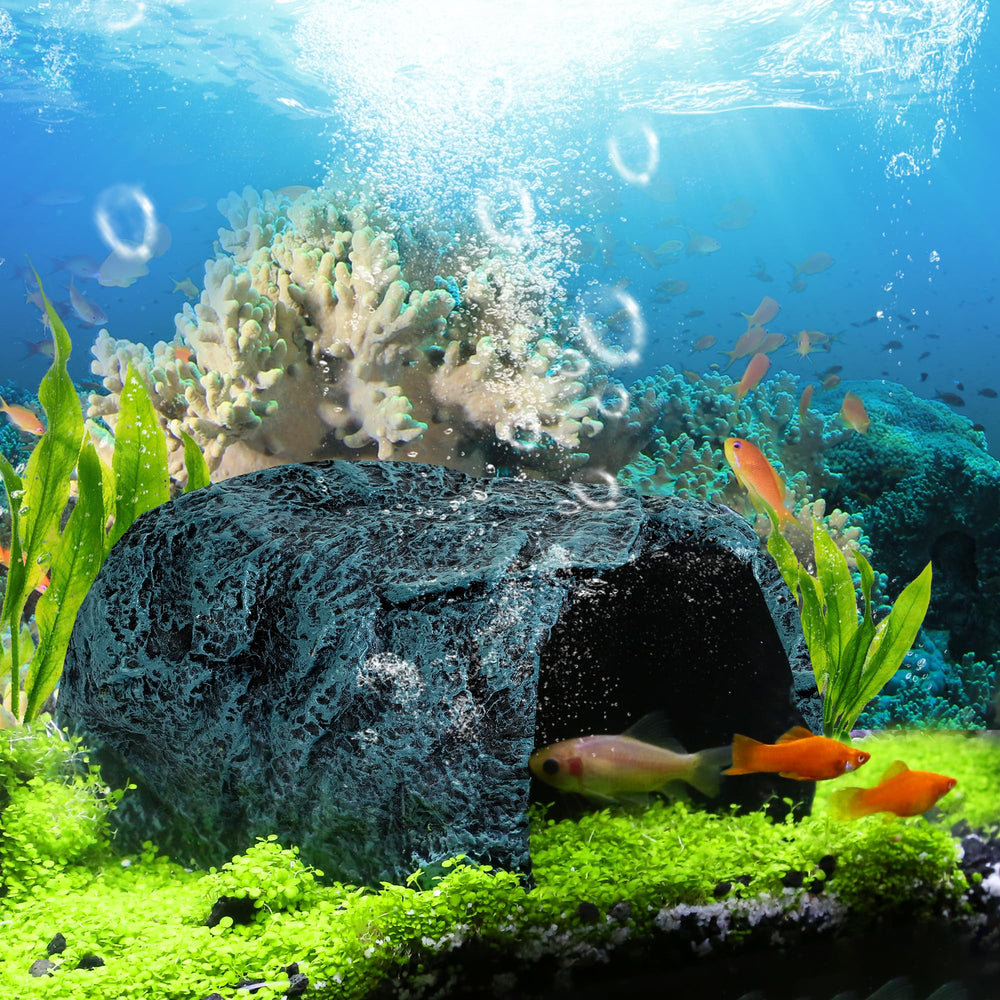 9.99WORLD MALL Terrarium play area decor boosts enrichment and exploration.