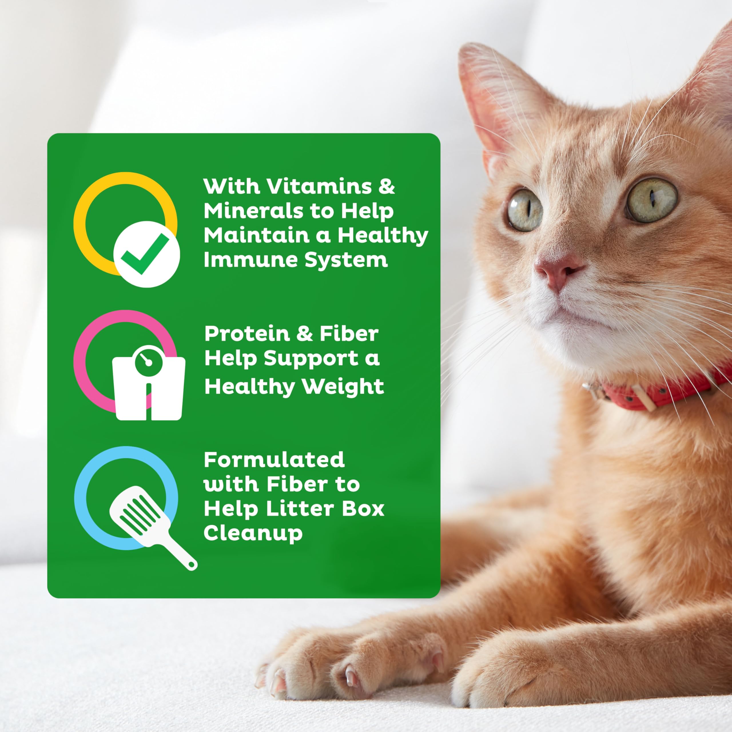 9Lives Indoor Essentials kibble with fiber aiding litter box cleanup