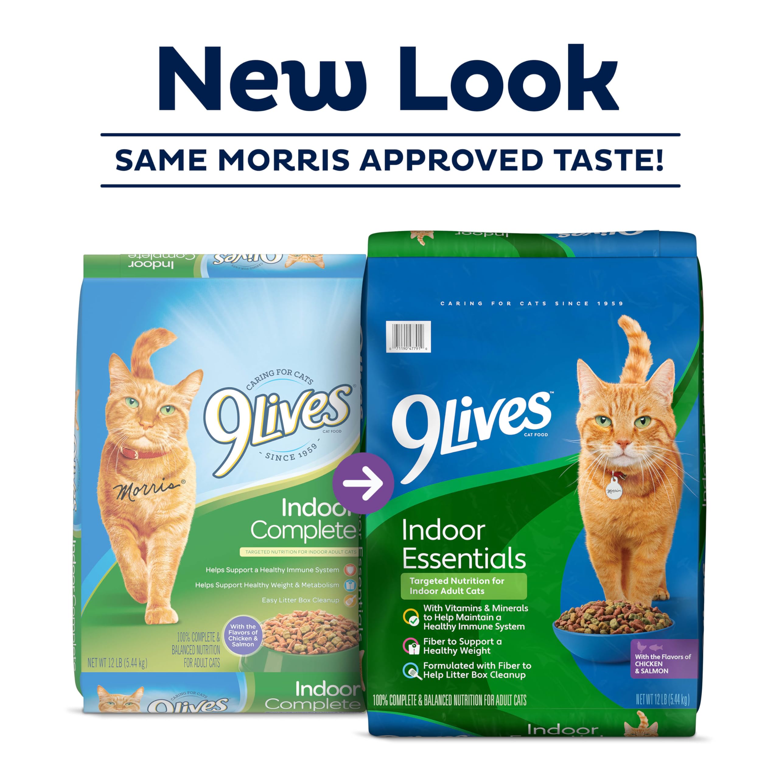 9Lives Indoor Essentials kibble close-up showing varied shapes and colors for engaging meals.