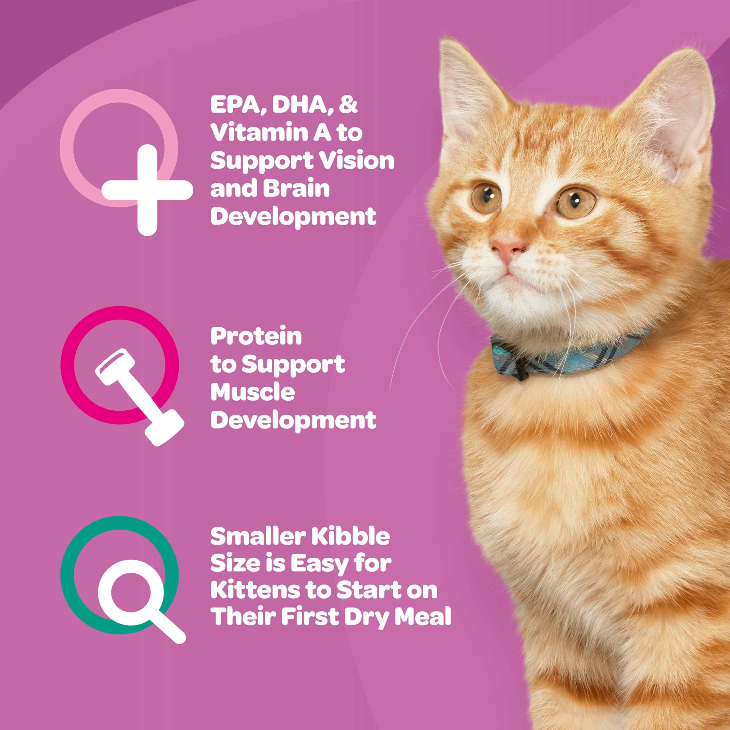 9Lives Kitten Essentials four-pack 2.5-lb bags arranged for value