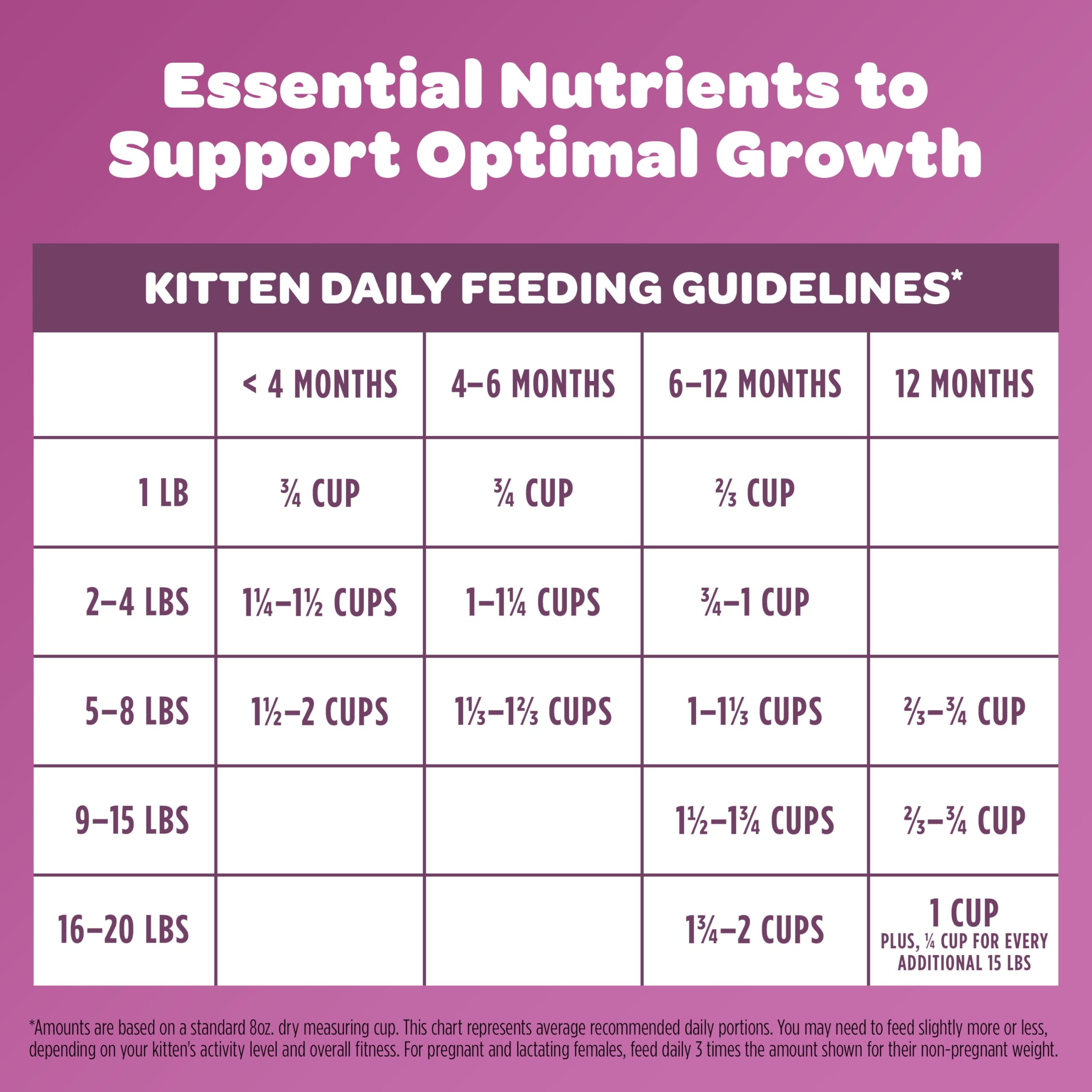 9Lives Kitten Essentials serving bowl with kibble for kittens