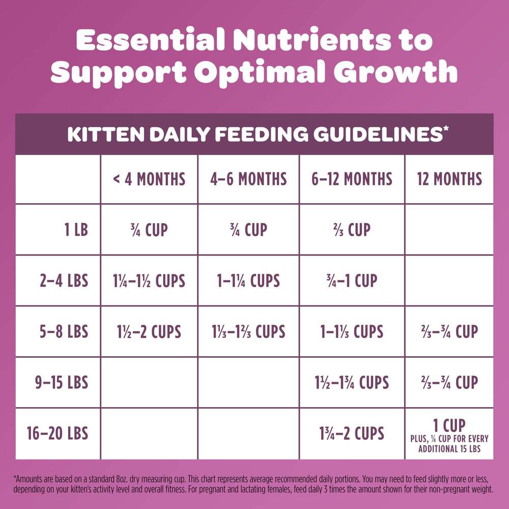 9Lives Kitten Essentials serving bowl with kibble for kittens