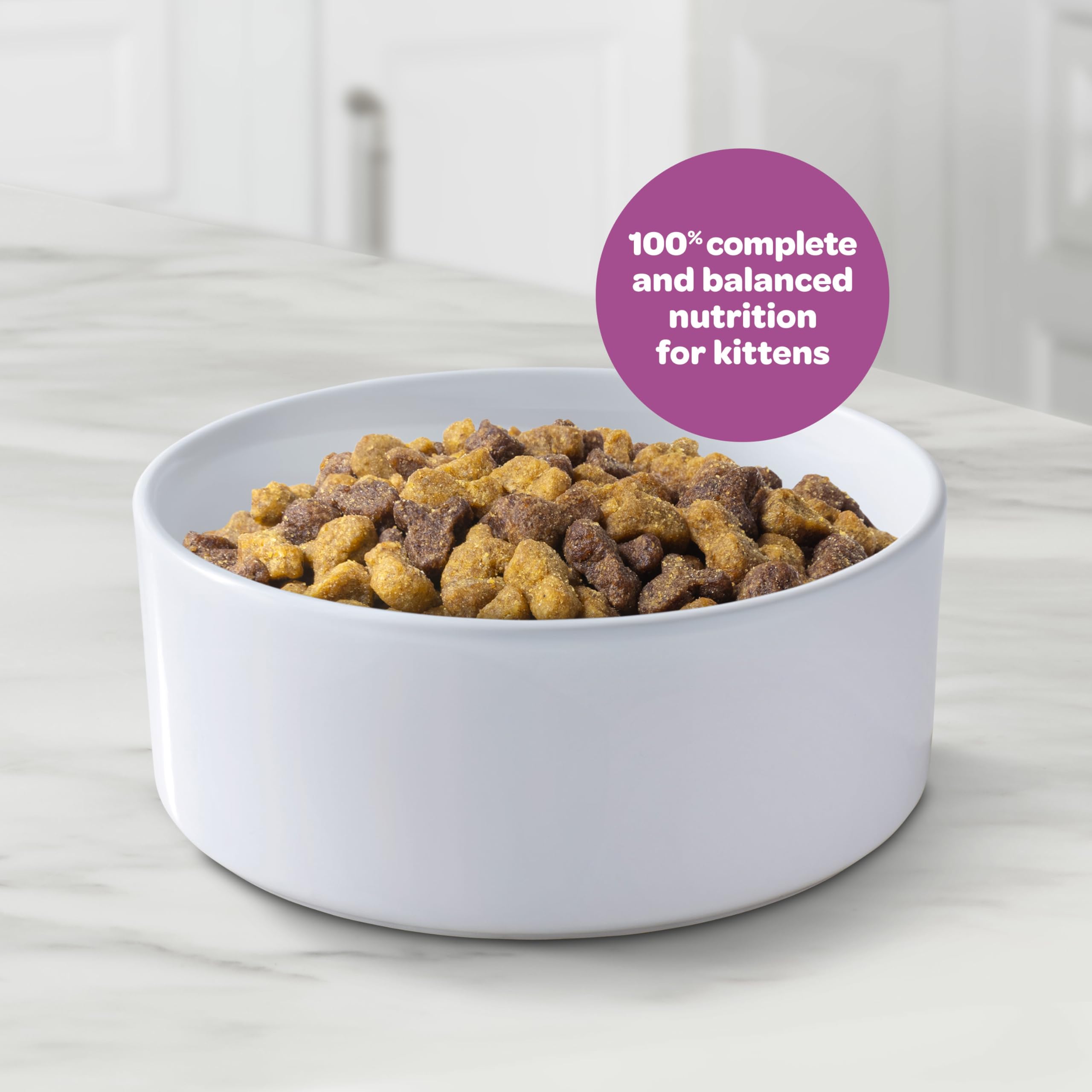 9Lives Kitten Essentials small kibble close-up for easier first meals