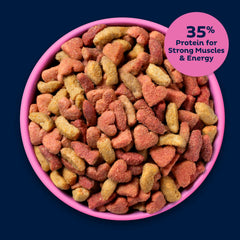 9Lives Plus ocean fish-flavor kibble close-up showing digestibility